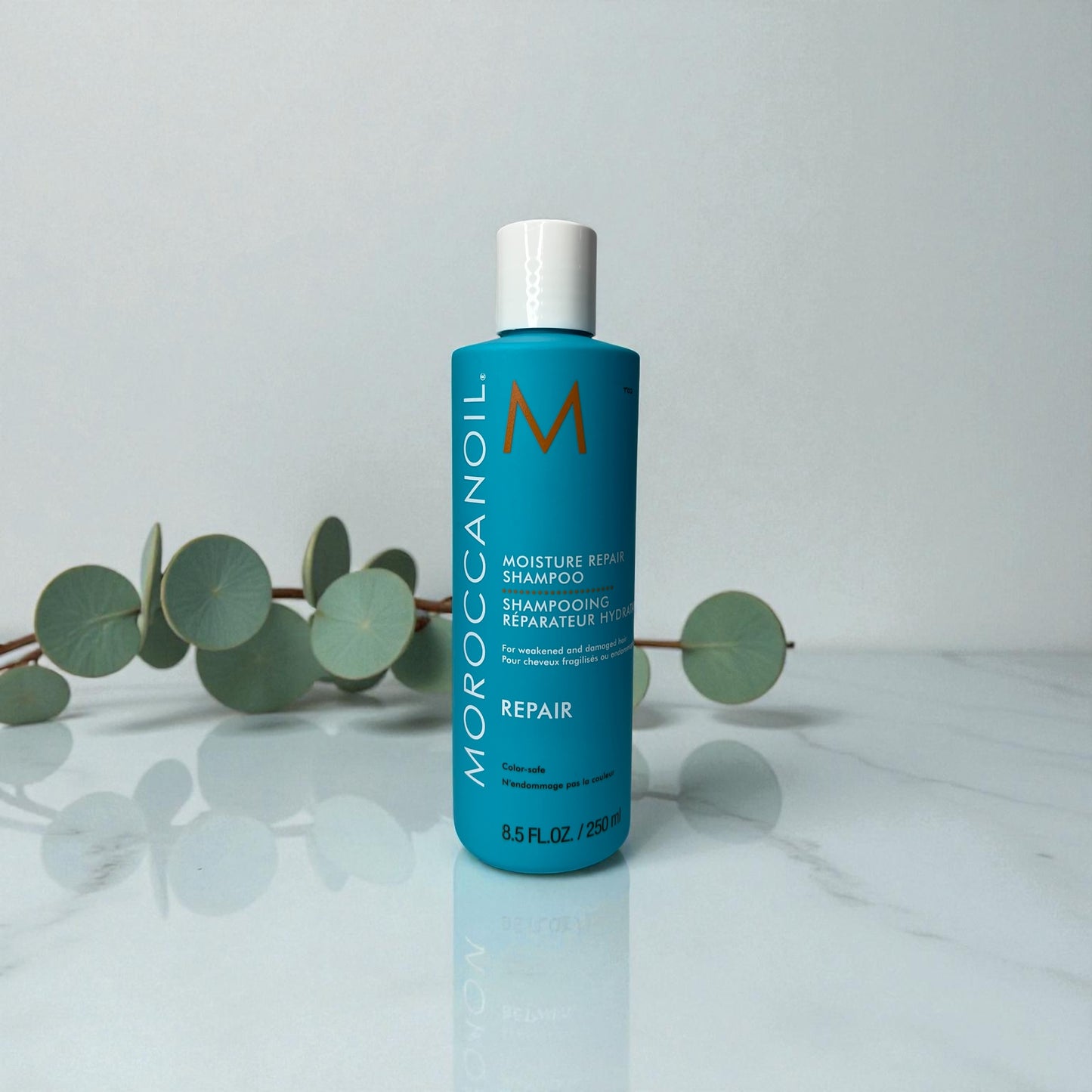 Moroccanoil Regenerierendes Shampoo 250ml